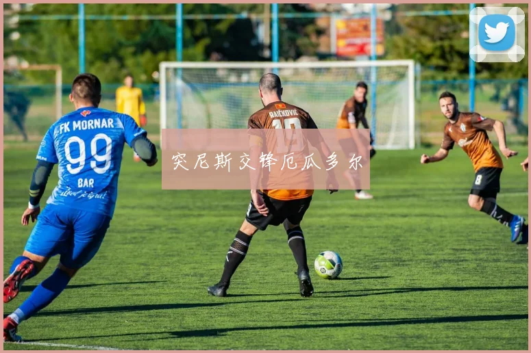 必赢官方app下载入口 - 突尼斯交锋厄瓜多尔