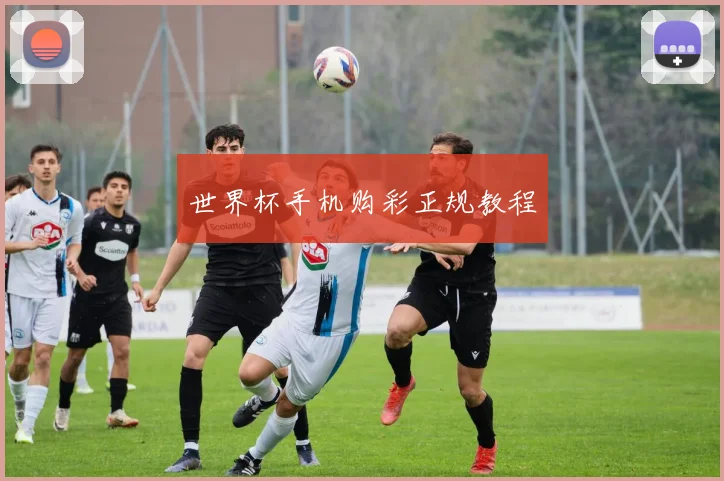 必赢官方app下载入口 - 世界杯手机购彩正规教程