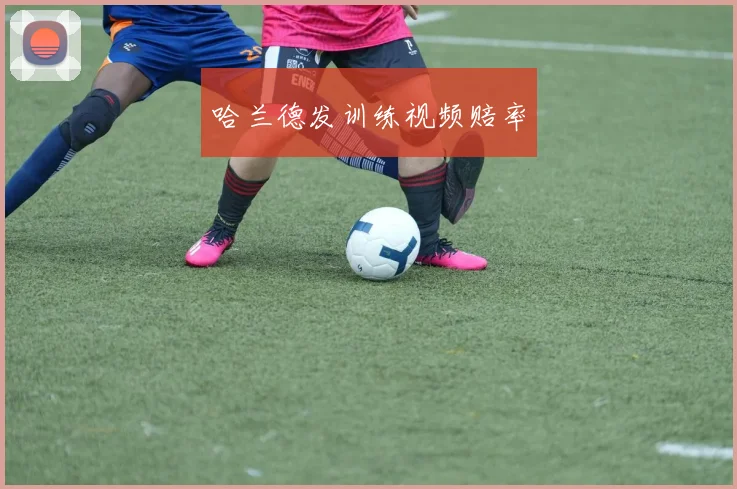 必赢官方app下载入口 - 哈兰德发训练视频赔率