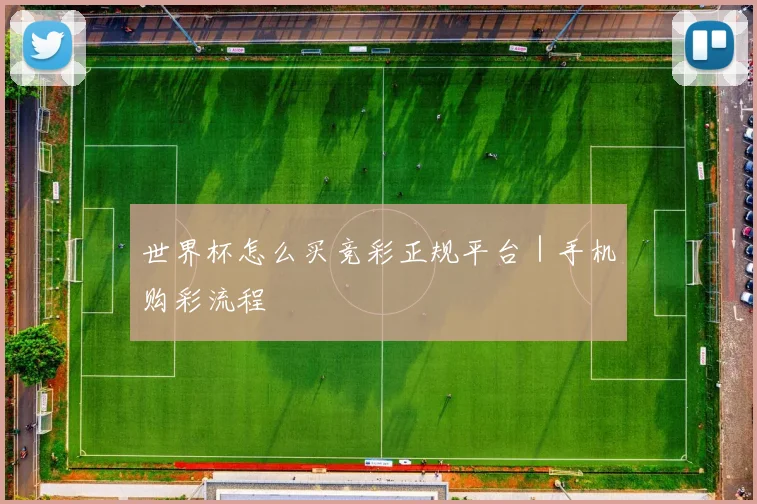 必赢官方app下载入口 - 世界杯怎么买竞彩正规平台｜手机购彩流程