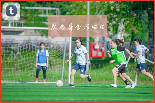 必赢官方app下载入口 - 摩洛哥会师缅甸