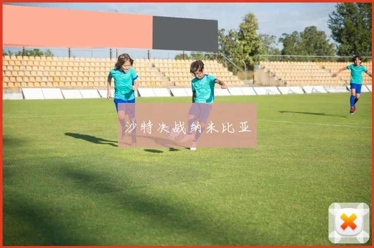 必赢官方app下载入口 - 沙特决战纳米比亚