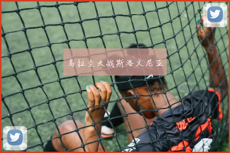 必赢官方app下载入口 - 乌拉圭大战斯洛文尼亚