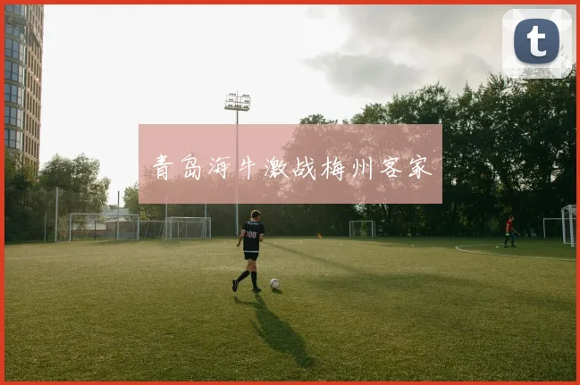 必赢官方app下载入口 - 青岛海牛激战梅州客家