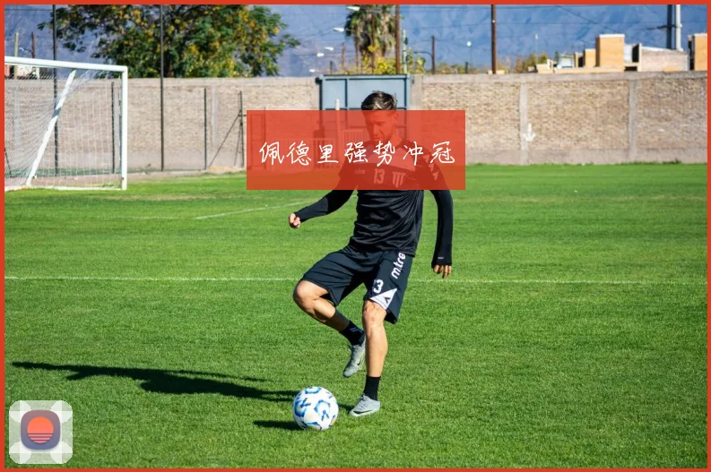 必赢官方app下载入口 - 佩德里强势冲冠