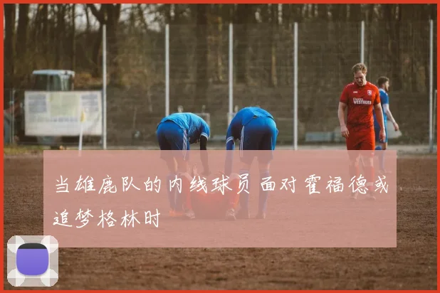 必赢官方app下载入口 - 当雄鹿队的内线球员面对霍福德或追梦格林时
