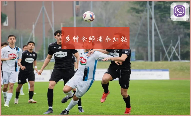 必赢官方app下载入口 - 多特会师浦和红钻