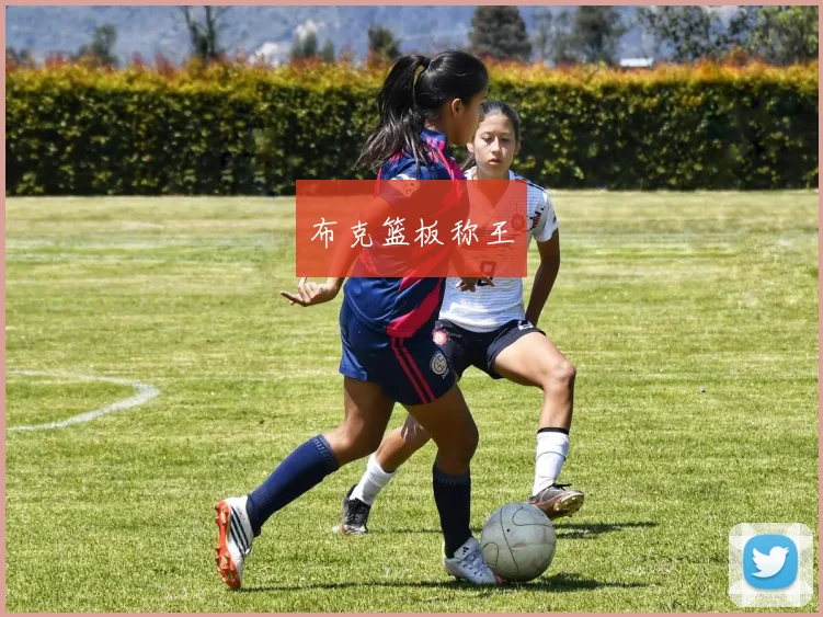 必赢官方app下载入口 - 布克篮板称王