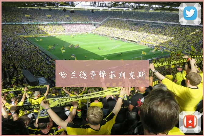 必赢官方app下载入口 - 哈兰德争锋菲利克斯