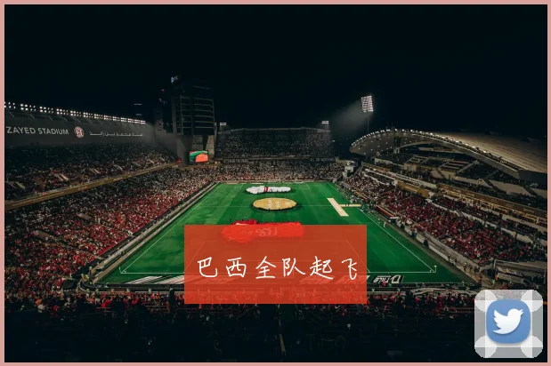 必赢官方app下载入口 - 巴西全队起飞