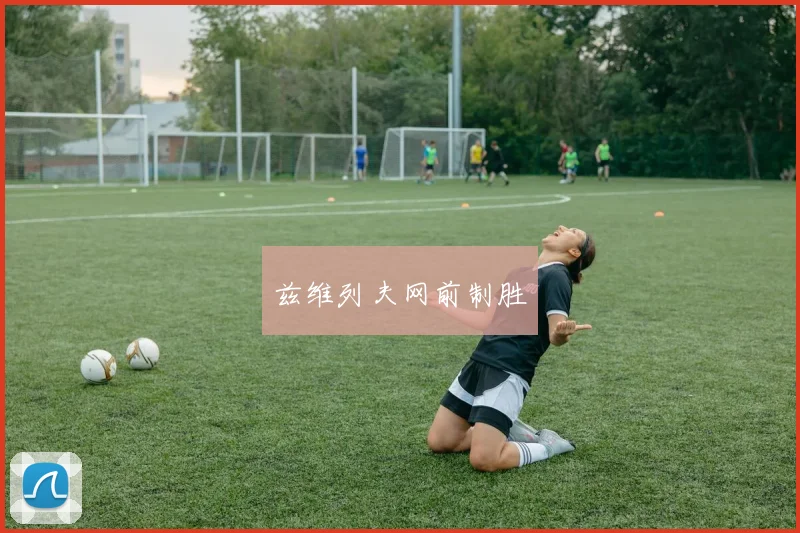 必赢官方app下载入口 - 兹维列夫网前制胜