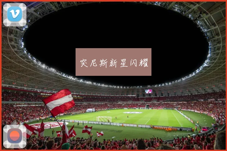 必赢官方app下载入口 - 突尼斯新星闪耀