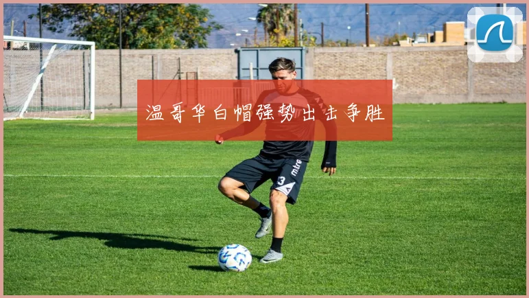必赢官方app下载入口 - 温哥华白帽强势出击争胜