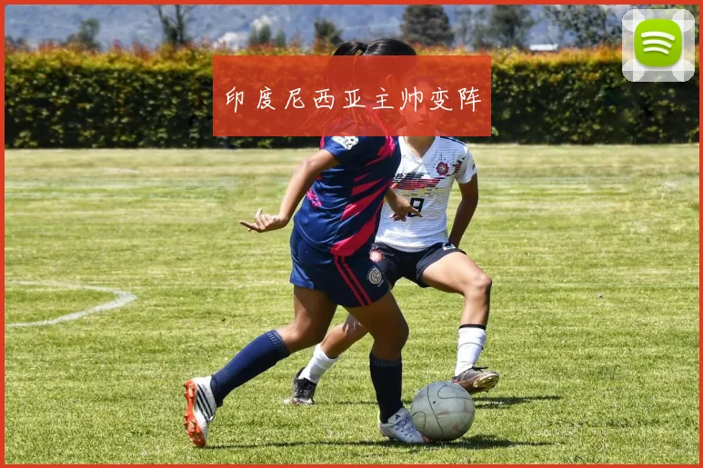 必赢官方app下载入口 - 印度尼西亚主帅变阵