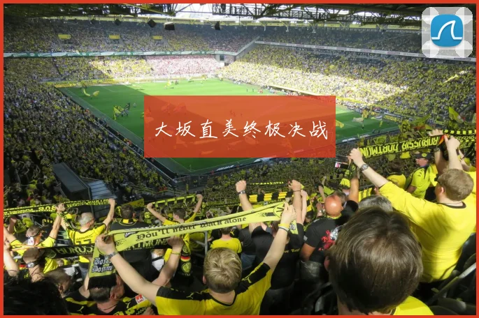 必赢官方app下载入口 - 大坂直美终极决战