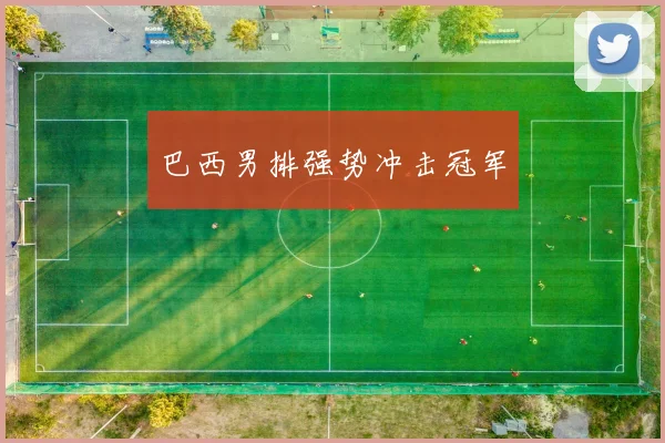 必赢官方app下载入口 - 巴西男排强势冲击冠军