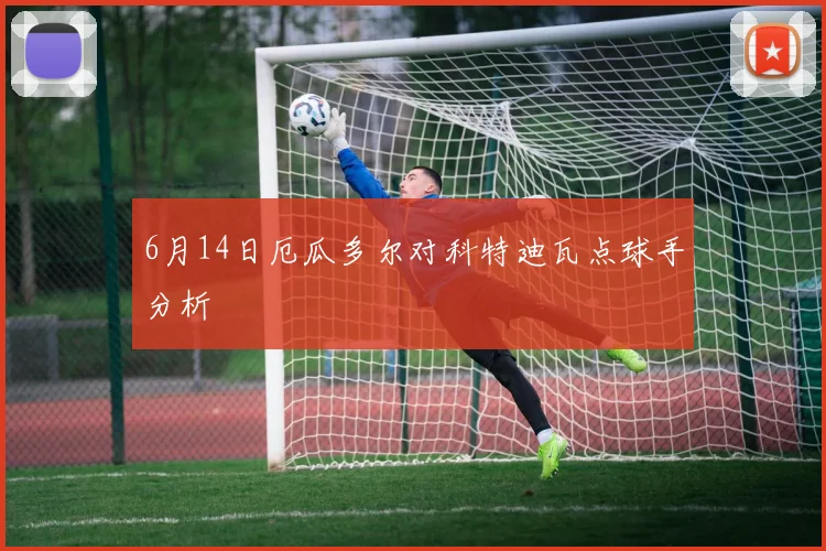 6月14日厄瓜多尔对科特迪瓦点球手分析