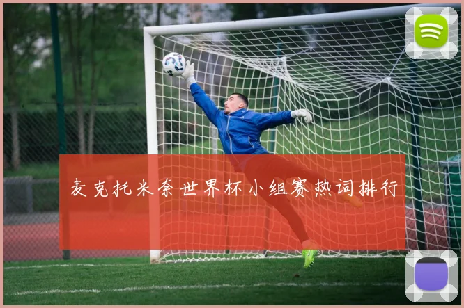 麦克托米奈世界杯小组赛热词排行